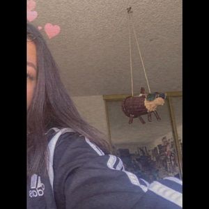 Meet your Posher, Amy